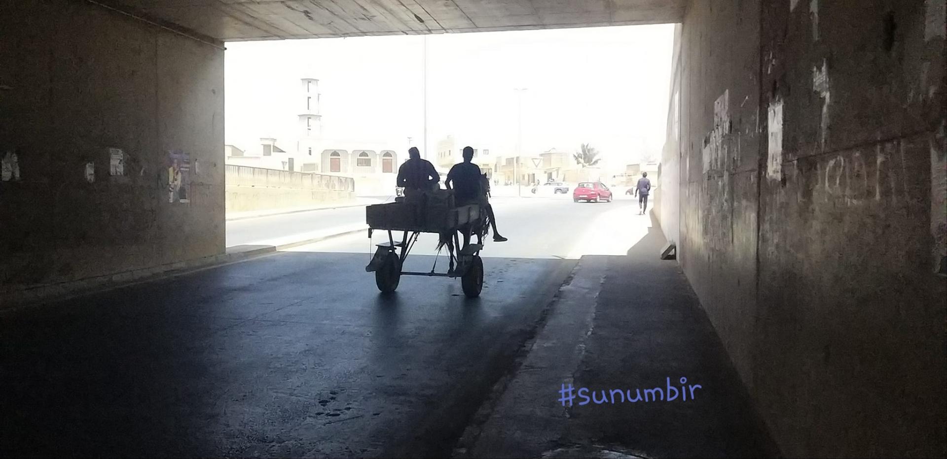 275357795 4837903179590217 9168390740019830799 n