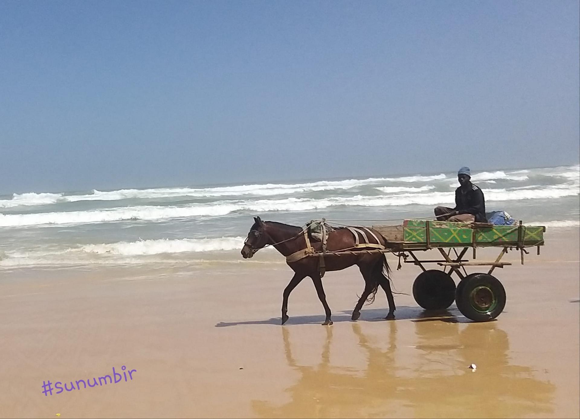 275380438 4831425893571279 6285534796625464958 n