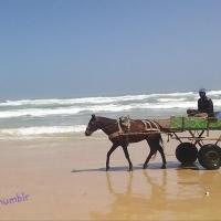 275380438 4831425893571279 6285534796625464958 n