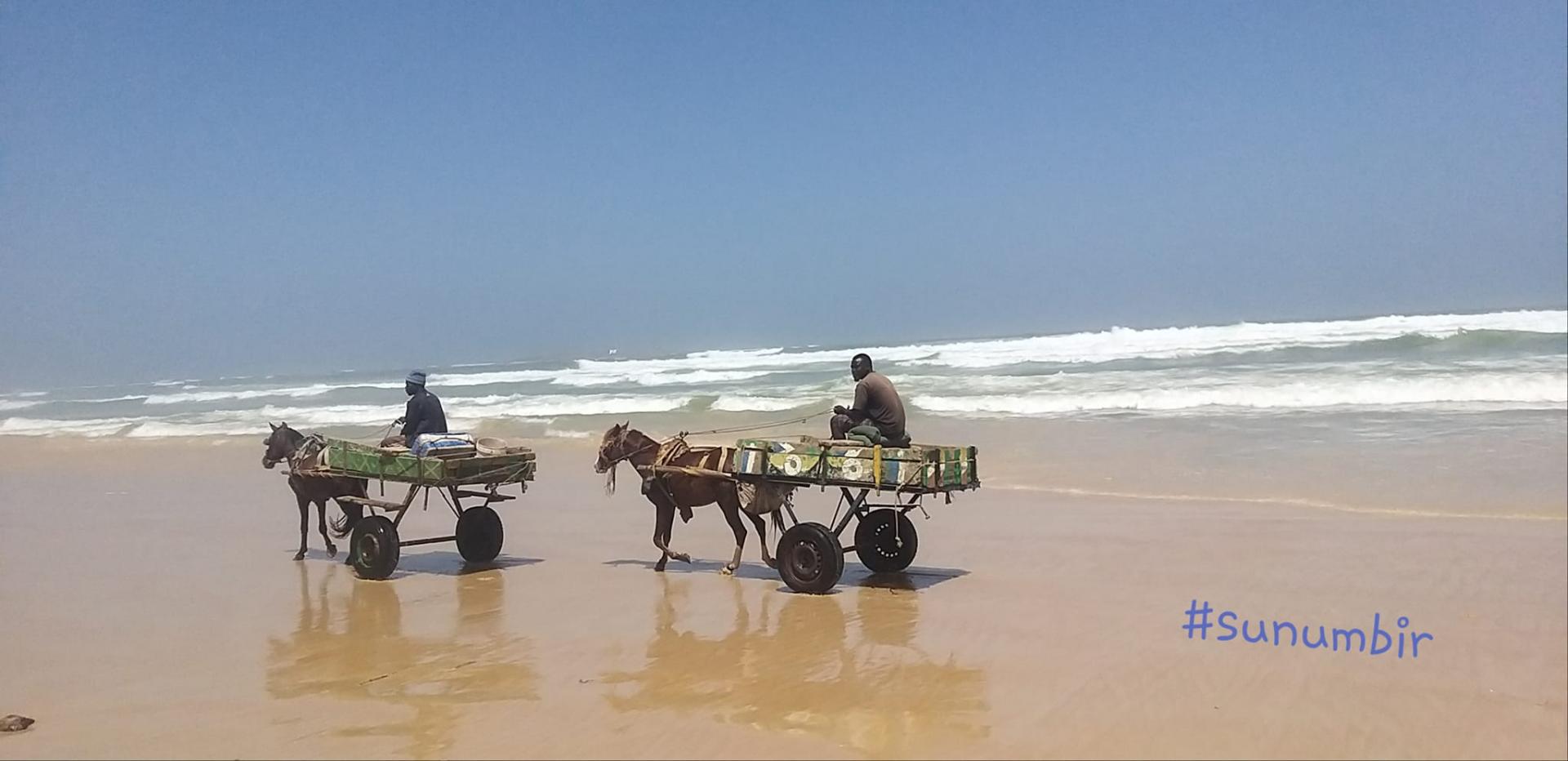 275387319 4836777083036160 4688132789392355249 n