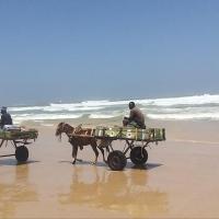 275387319 4836777083036160 4688132789392355249 n