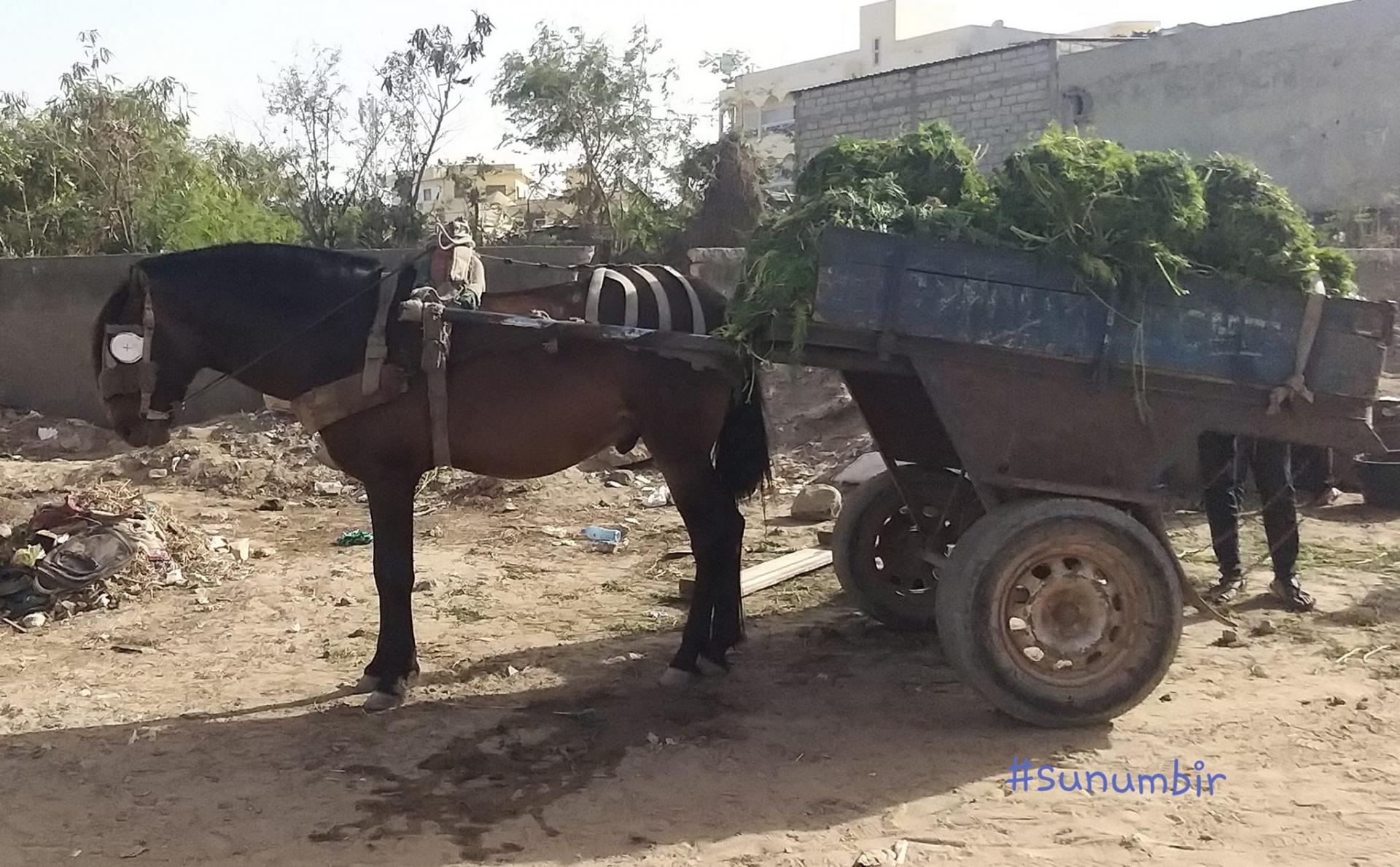 275430864 4840725742641294 2514035336592729206 n