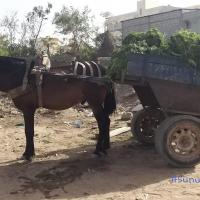 275430864 4840725742641294 2514035336592729206 n