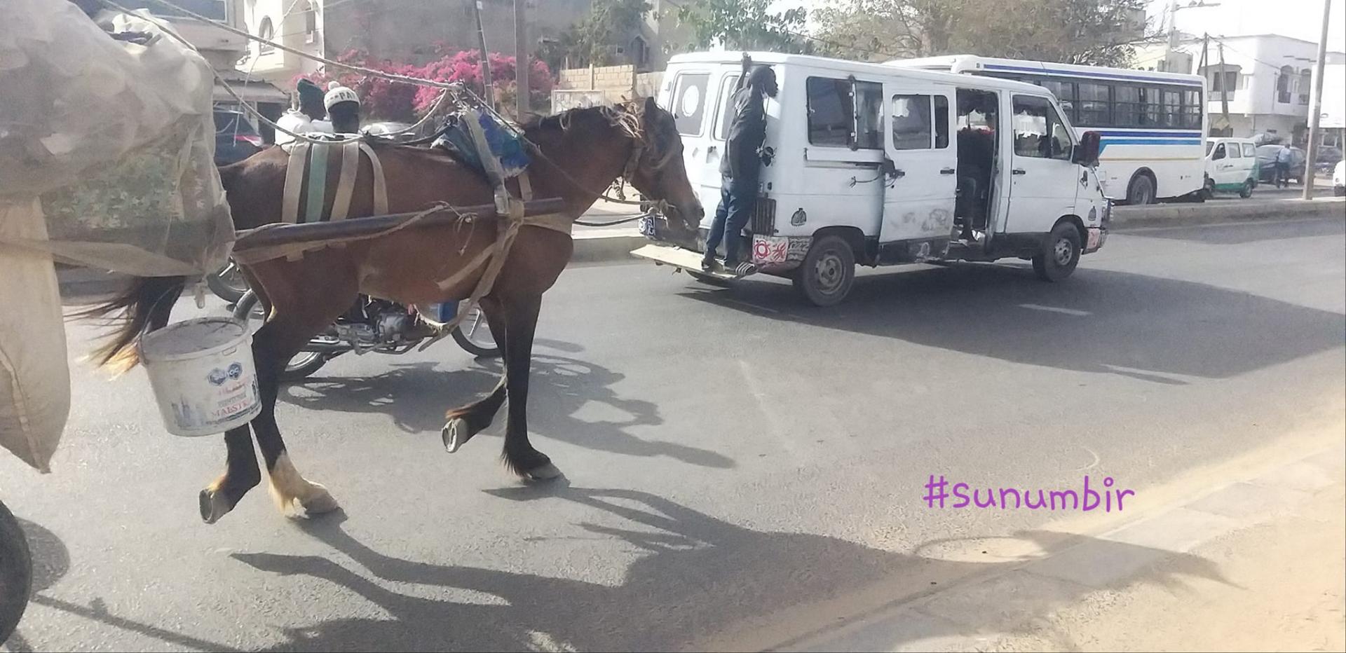 275439657 4843378299042705 4345495199394778349 n