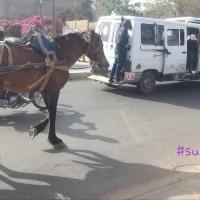 275439657 4843378299042705 4345495199394778349 n