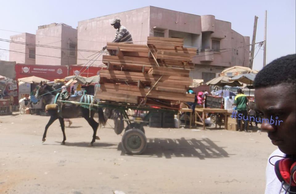 275443548 4834020529978482 8336040560007981209 n