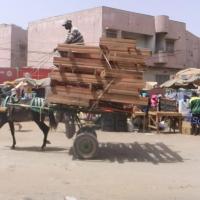 275443548 4834020529978482 8336040560007981209 n