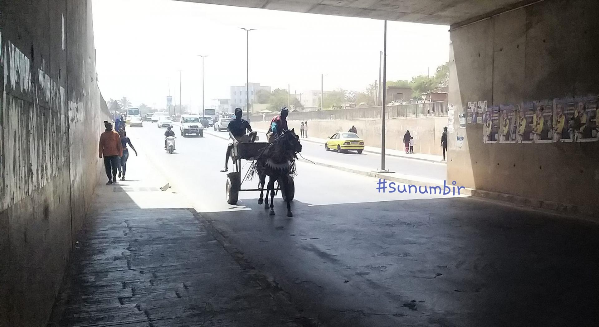 275451139 4837903066256895 6495281438706050432 n