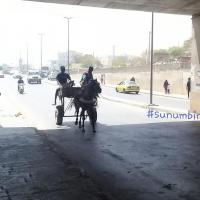 275451139 4837903066256895 6495281438706050432 n