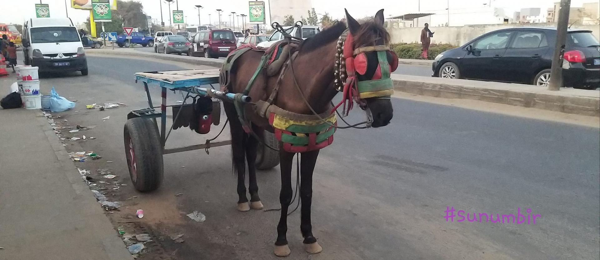 275539549 4842367722477096 4280018097991178988 n