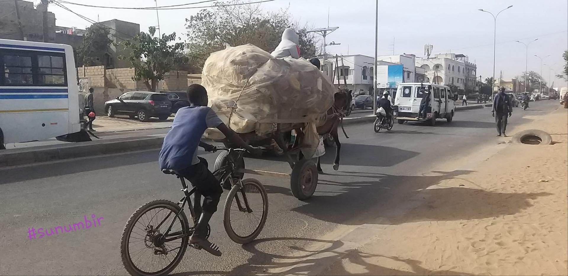 275566302 4843378482376020 7333241265795369987 n