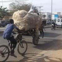 275566302 4843378482376020 7333241265795369987 n