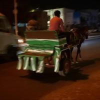 275603215 4839718916075310 745922198198332067 n