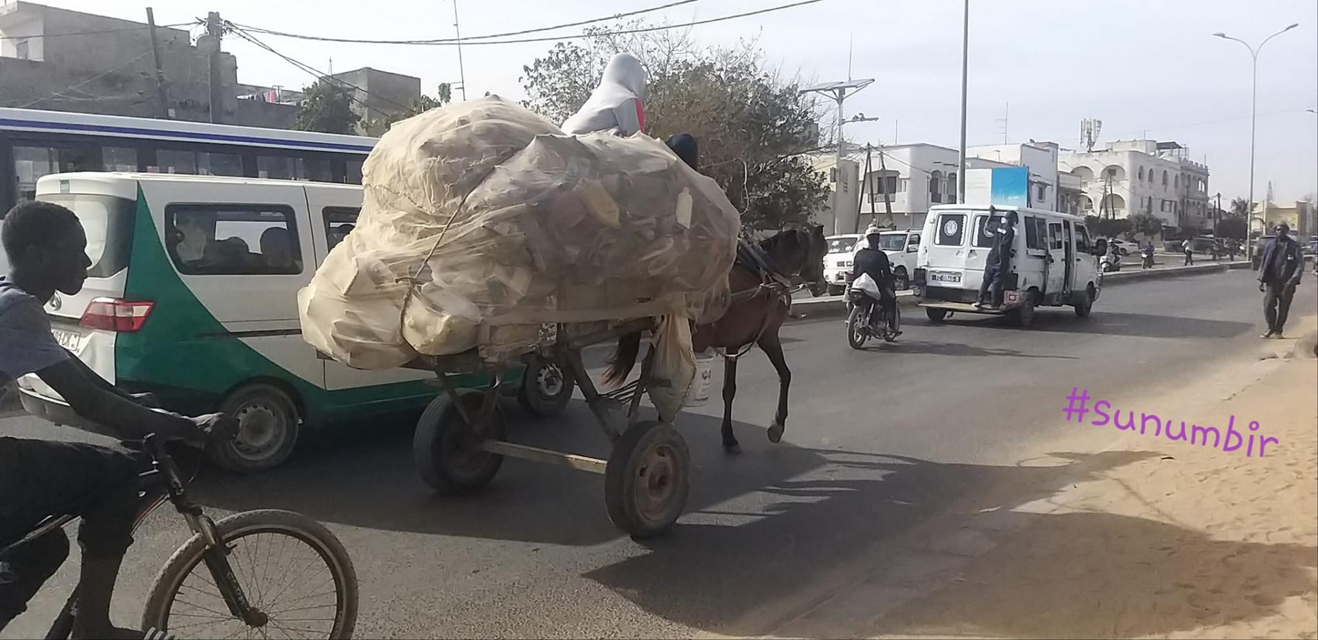 275622013 4843378362376032 4006924852413201142 n