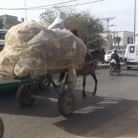 275622013 4843378362376032 4006924852413201142 n