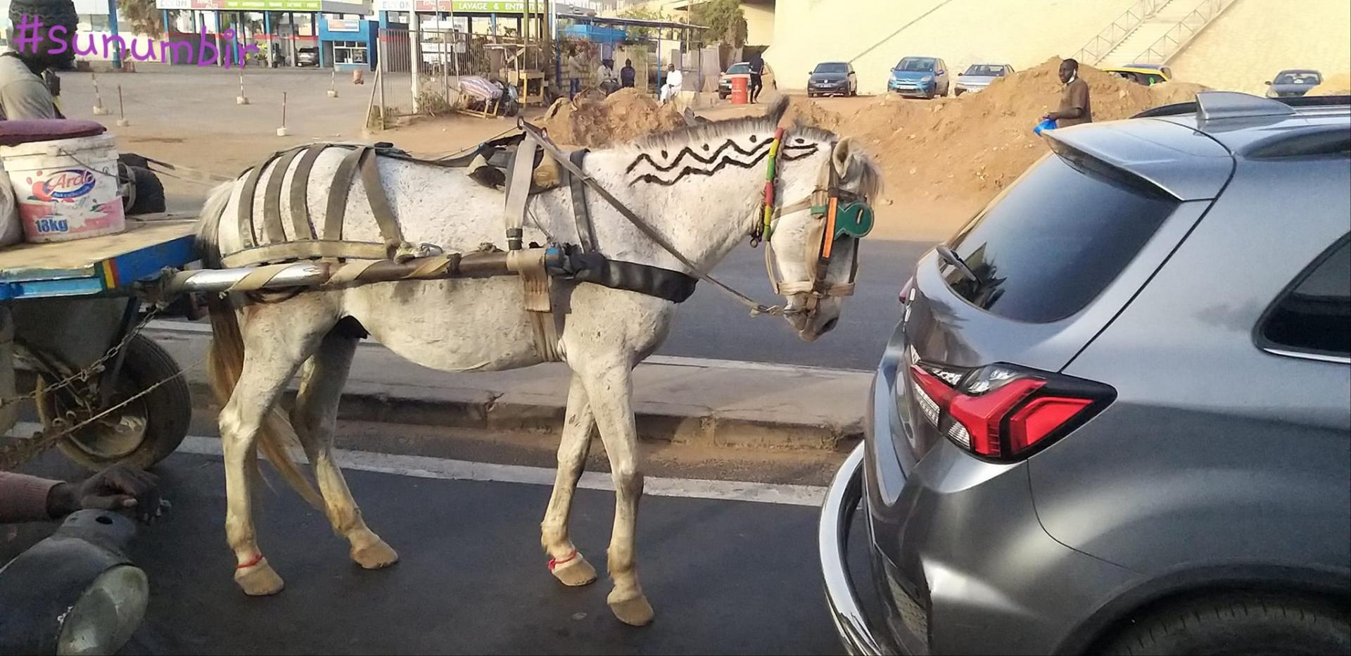 275791952 4855565364490665 3579504030347968238 n