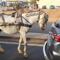 275791952 4855565364490665 3579504030347968238 n