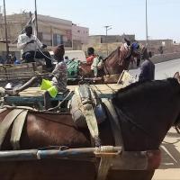 275917317 4854100304637171 7418554648348802842 n 1 