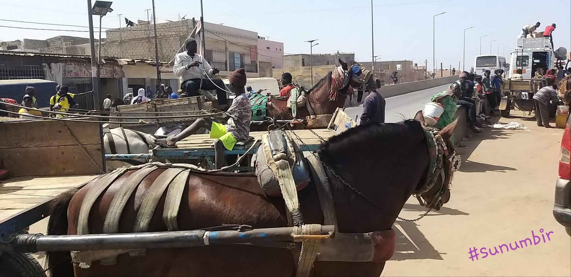 275917317 4854100304637171 7418554648348802842 n