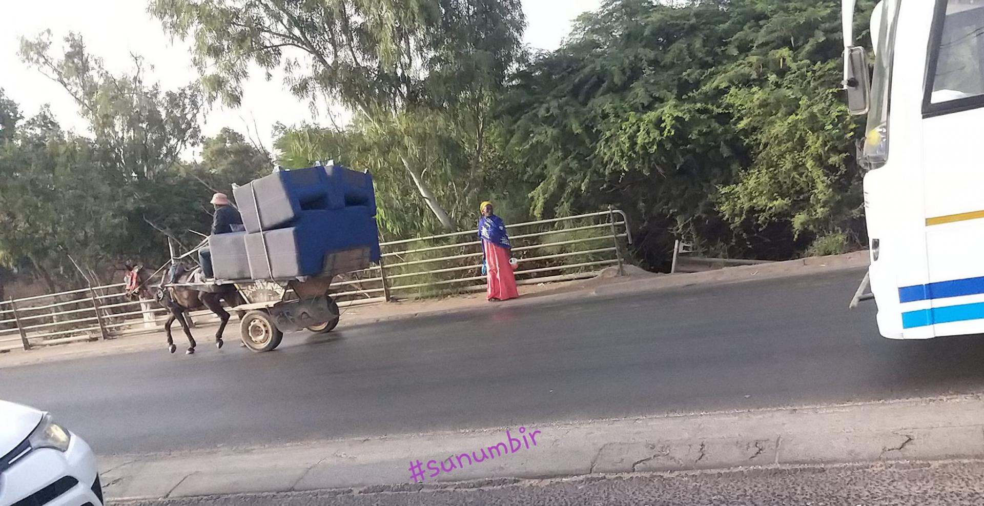 275949803 4859598757420659 3511292598849434719 n