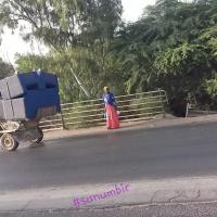 275949803 4859598757420659 3511292598849434719 n