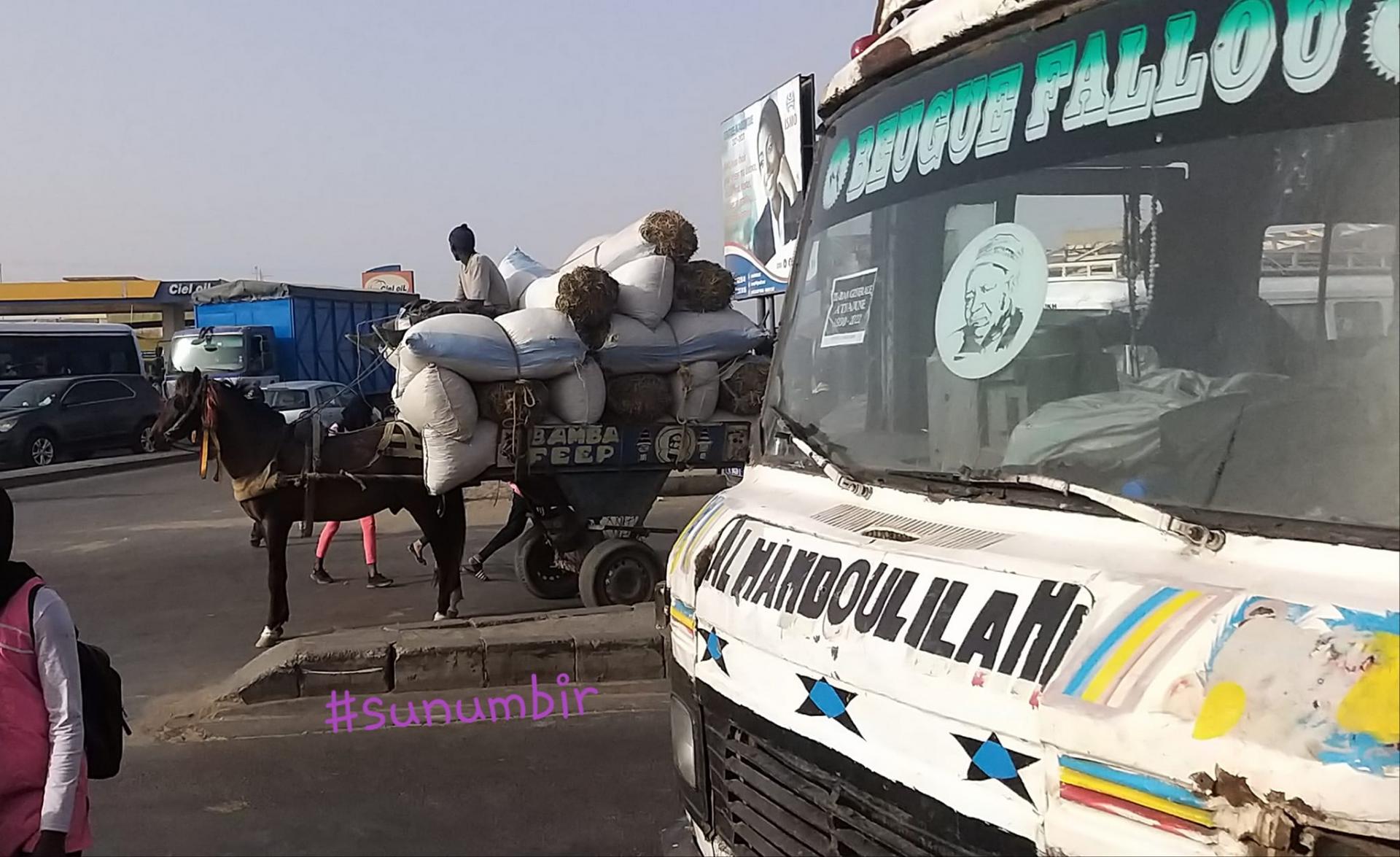 275968031 4862365237144011 1958095985121240394 n