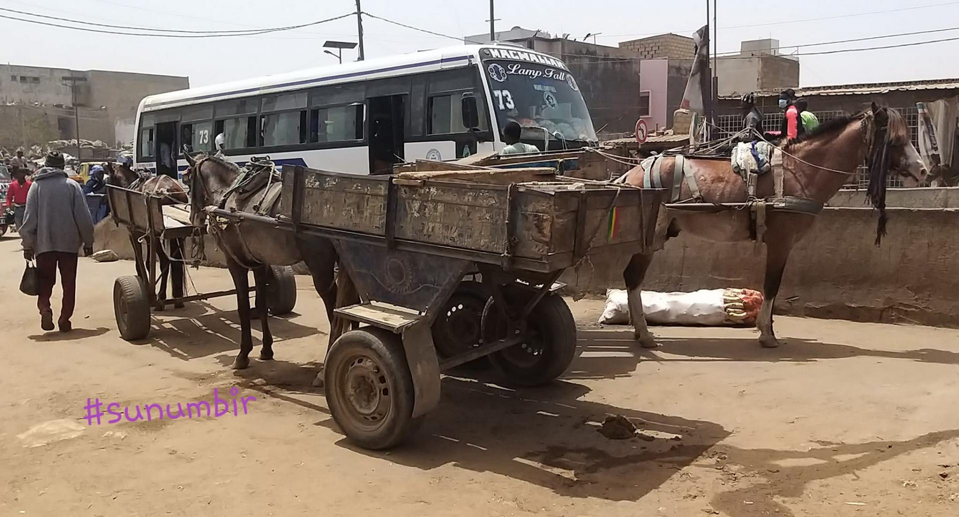 275978963 4858364654210736 3193825991878481768 n