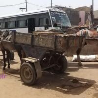 275978963 4858364654210736 3193825991878481768 n