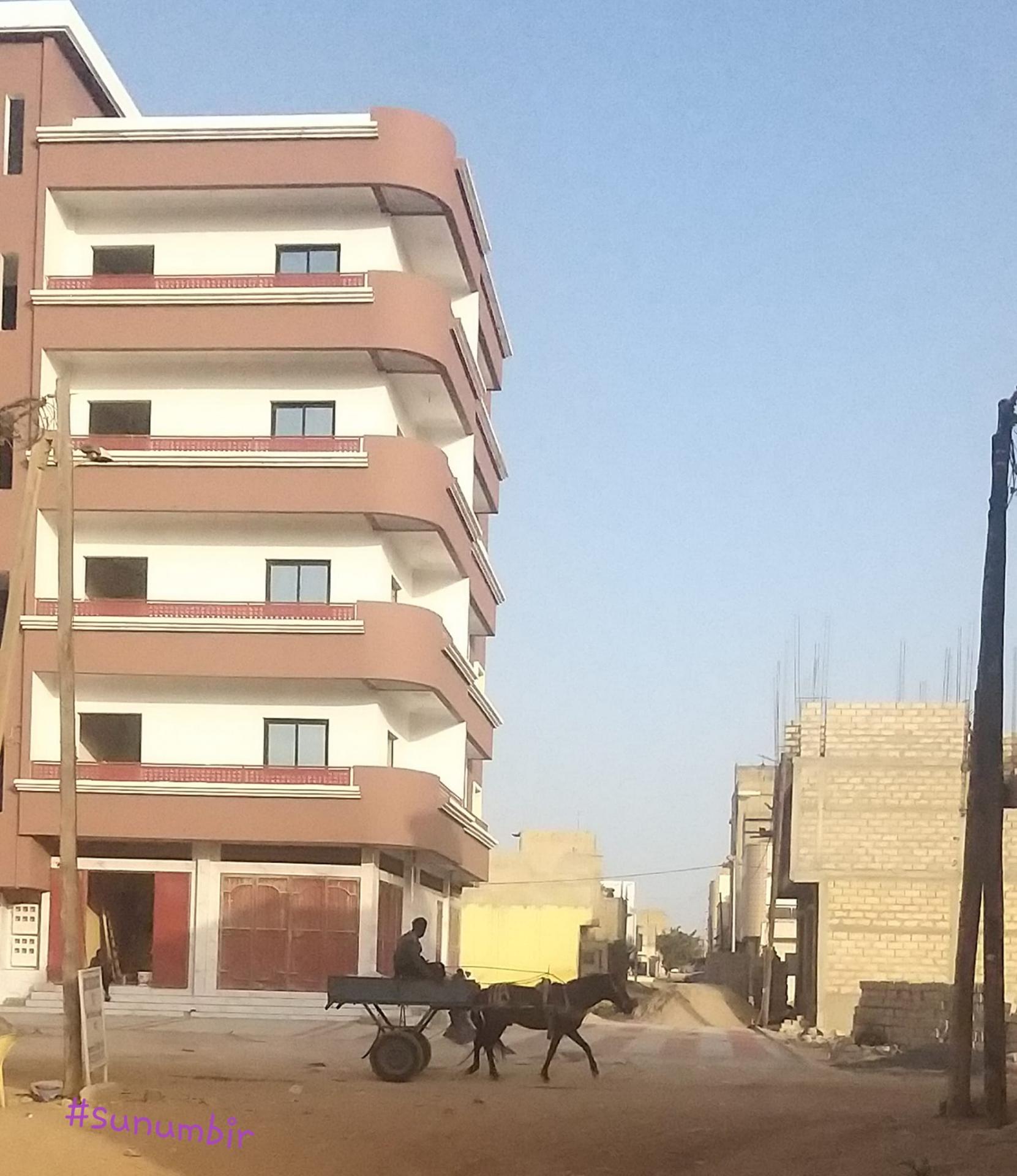 276004776 4861141607266374 4794168242581819967 n