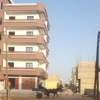 276004776 4861141607266374 4794168242581819967 n