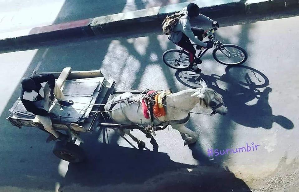 276032478 4863898296990705 6477509776271843483 n