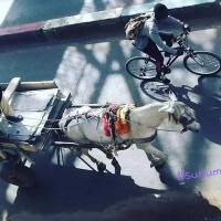 276032478 4863898296990705 6477509776271843483 n