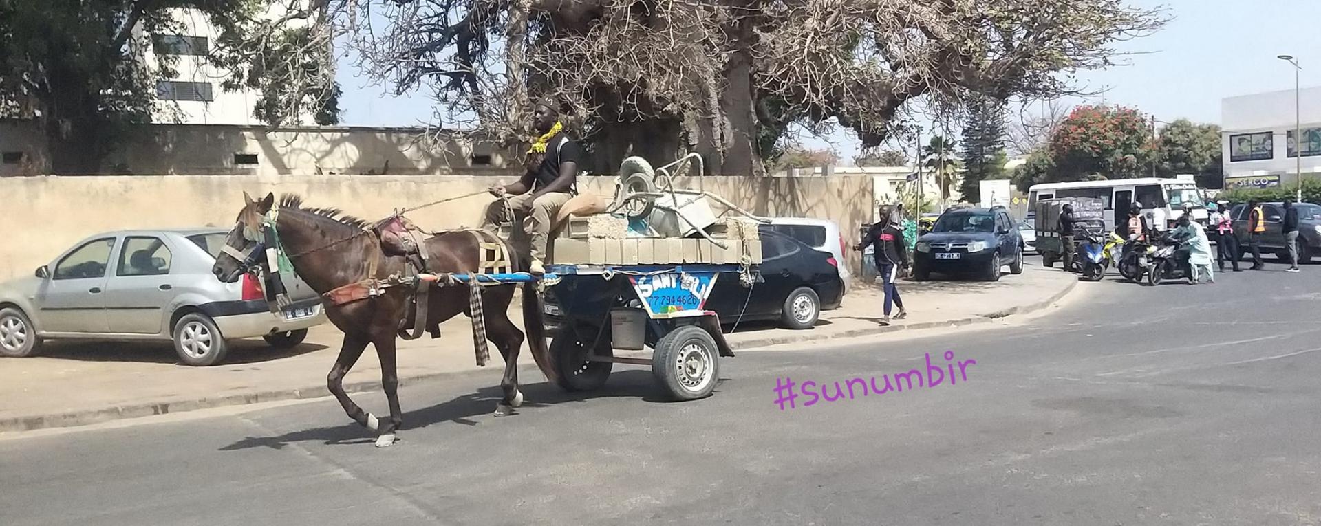 276065191 4865112020202666 4411258323036997003 n