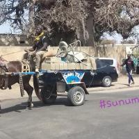 276065191 4865112020202666 4411258323036997003 n