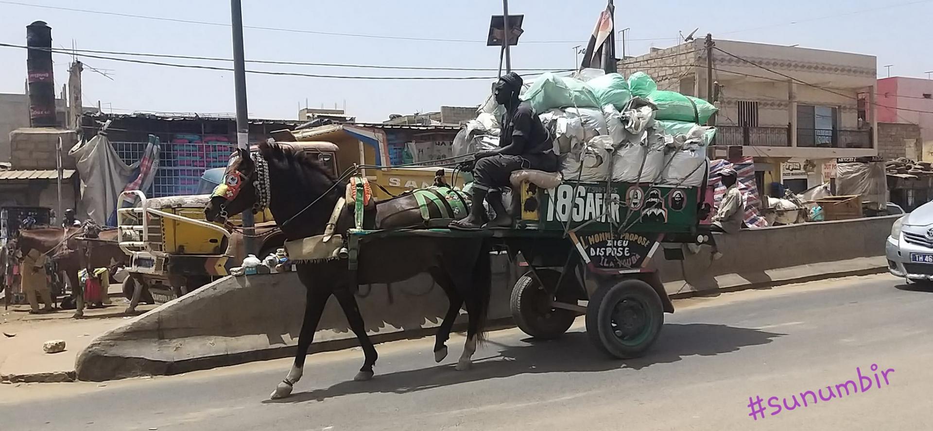 276082831 4866754323371769 6126511119095376655 n