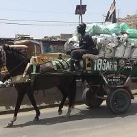 276082831 4866754323371769 6126511119095376655 n