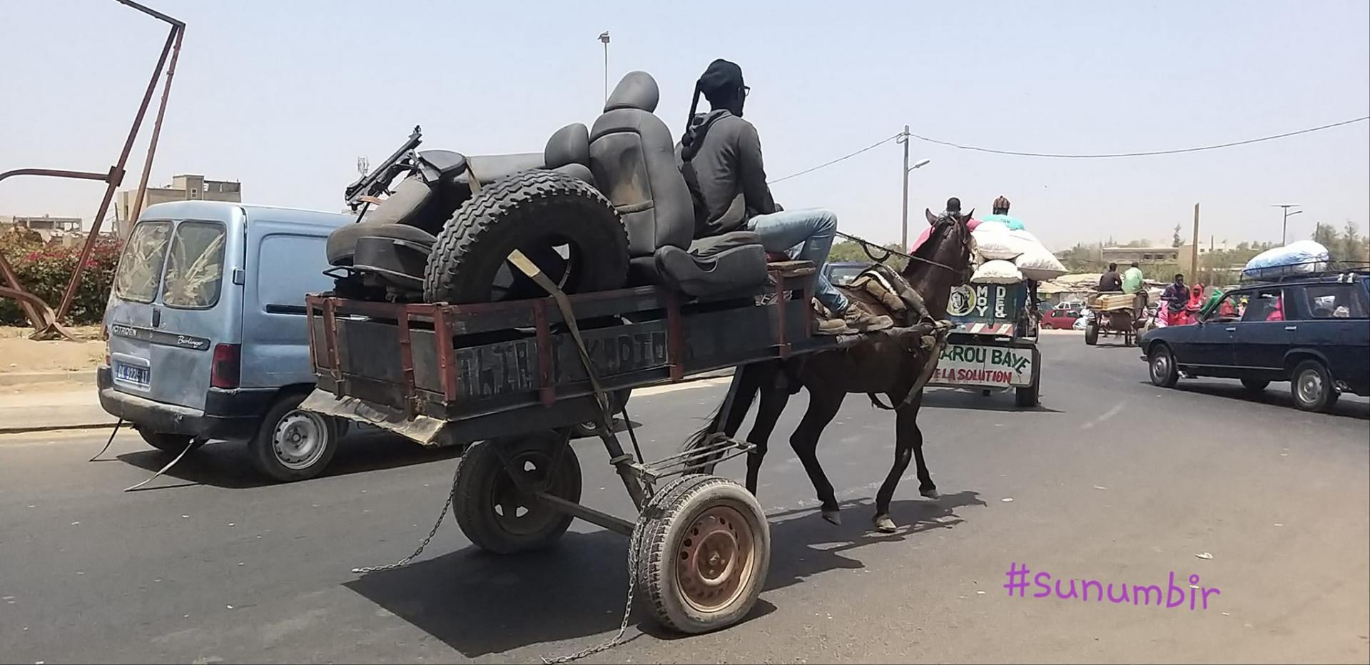 276123566 4867773119936556 4163815784118702872 n