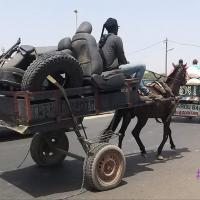 276123566 4867773119936556 4163815784118702872 n