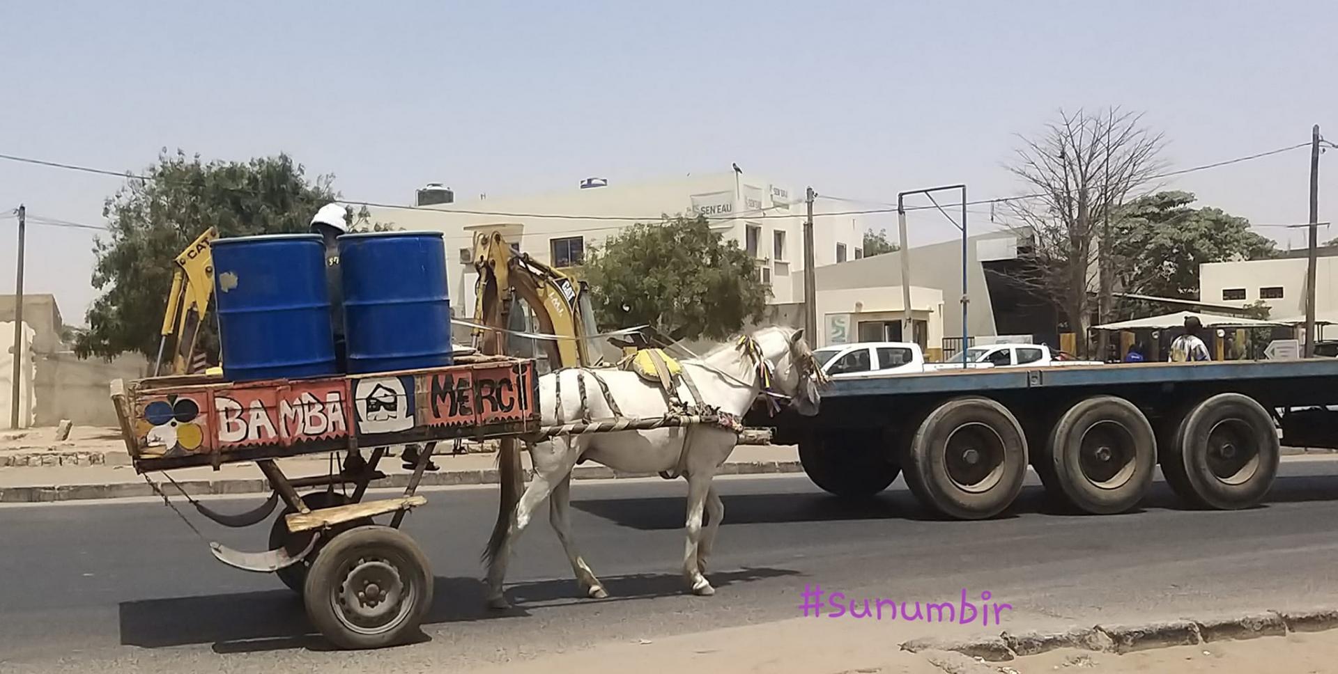 276124943 4869214079792460 7980117473552662085 n