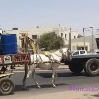 276124943 4869214079792460 7980117473552662085 n