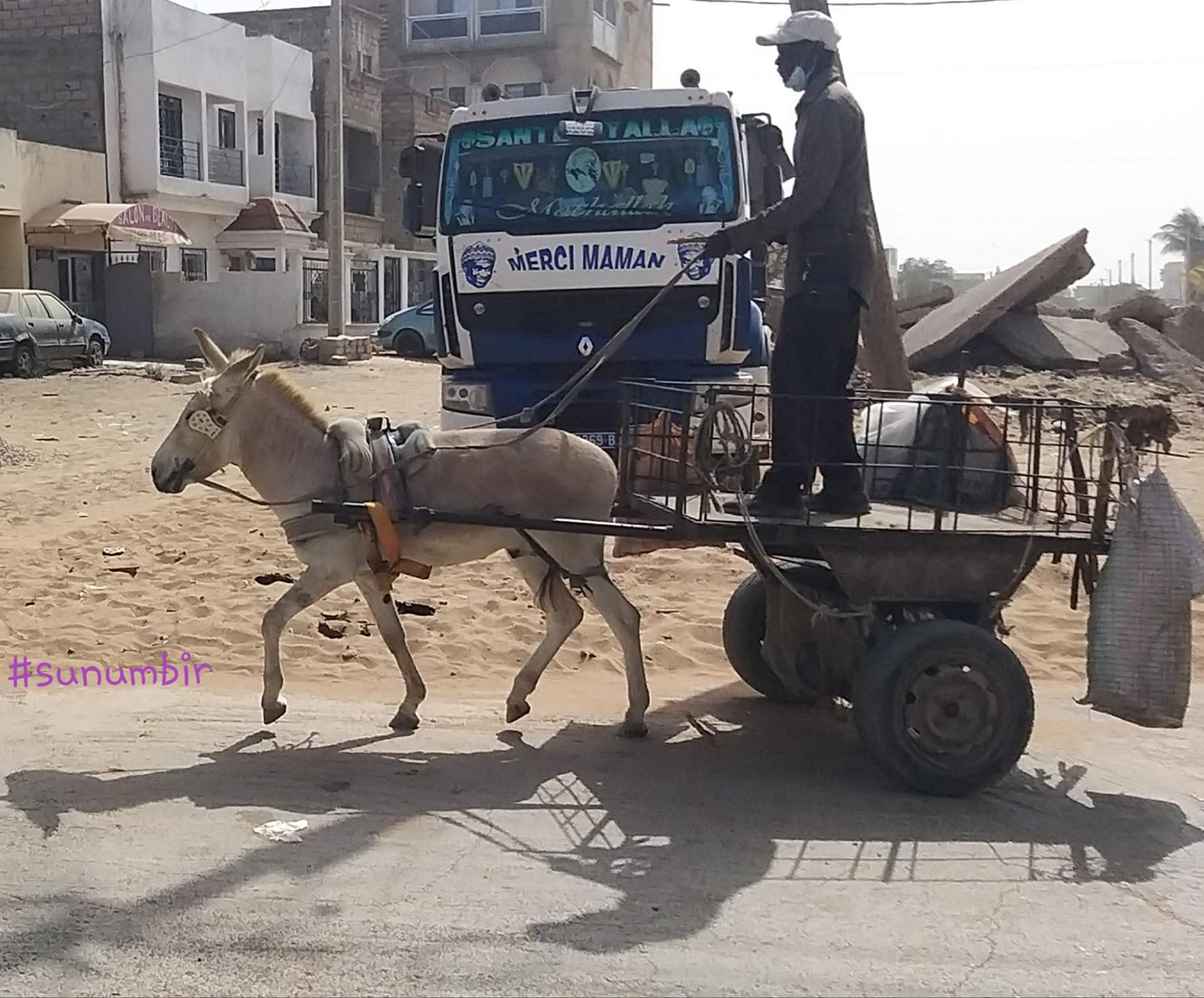 276144772 4870428723004329 6144803744637508591 n