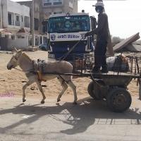 276144772 4870428723004329 6144803744637508591 n