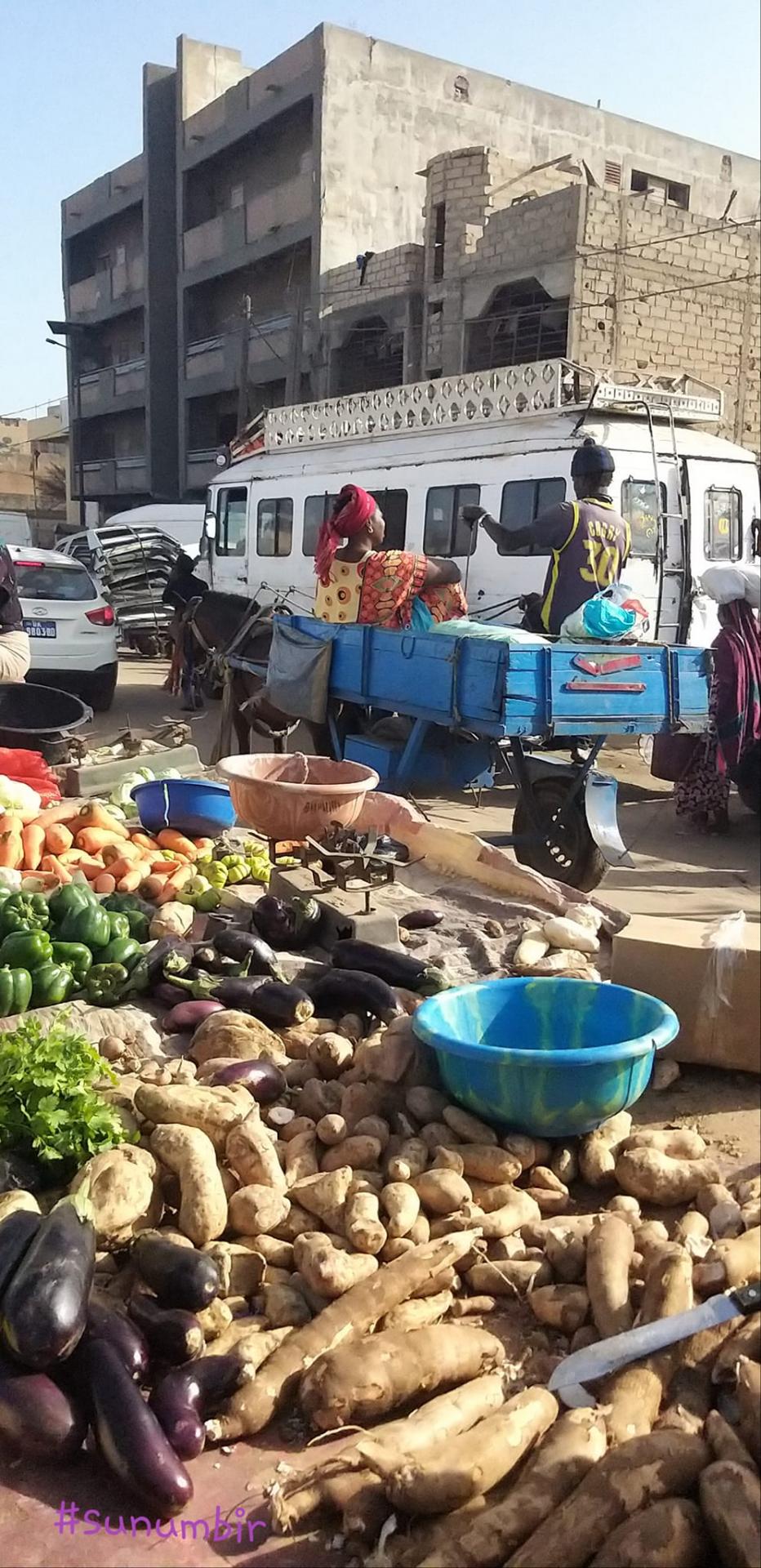 276239318 4882119408501927 2920080612725474629 n