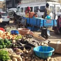 276239318 4882119408501927 2920080612725474629 n