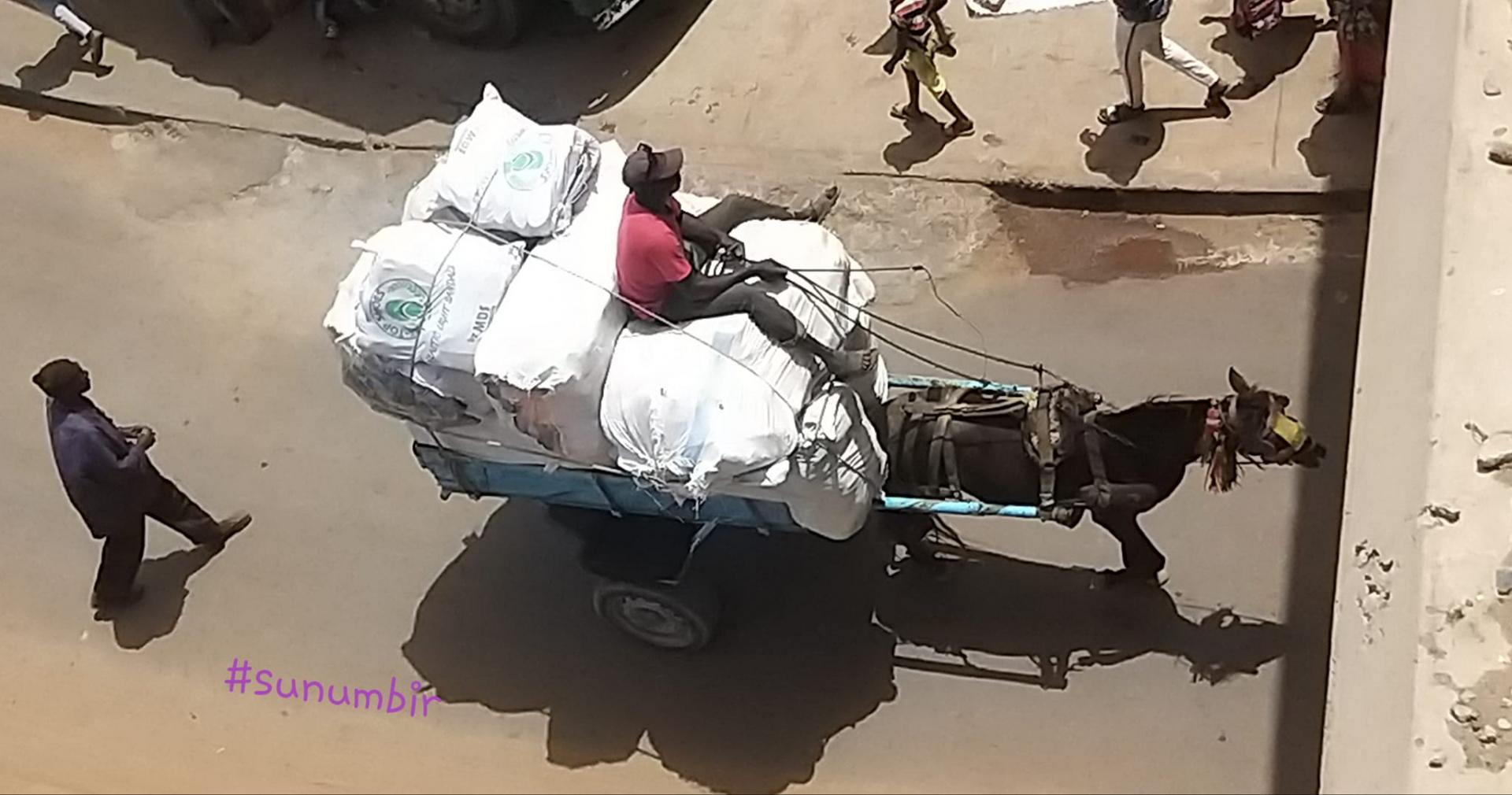 276281186 4874338809279987 3845939627611713093 n