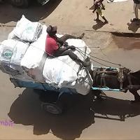 276281186 4874338809279987 3845939627611713093 n