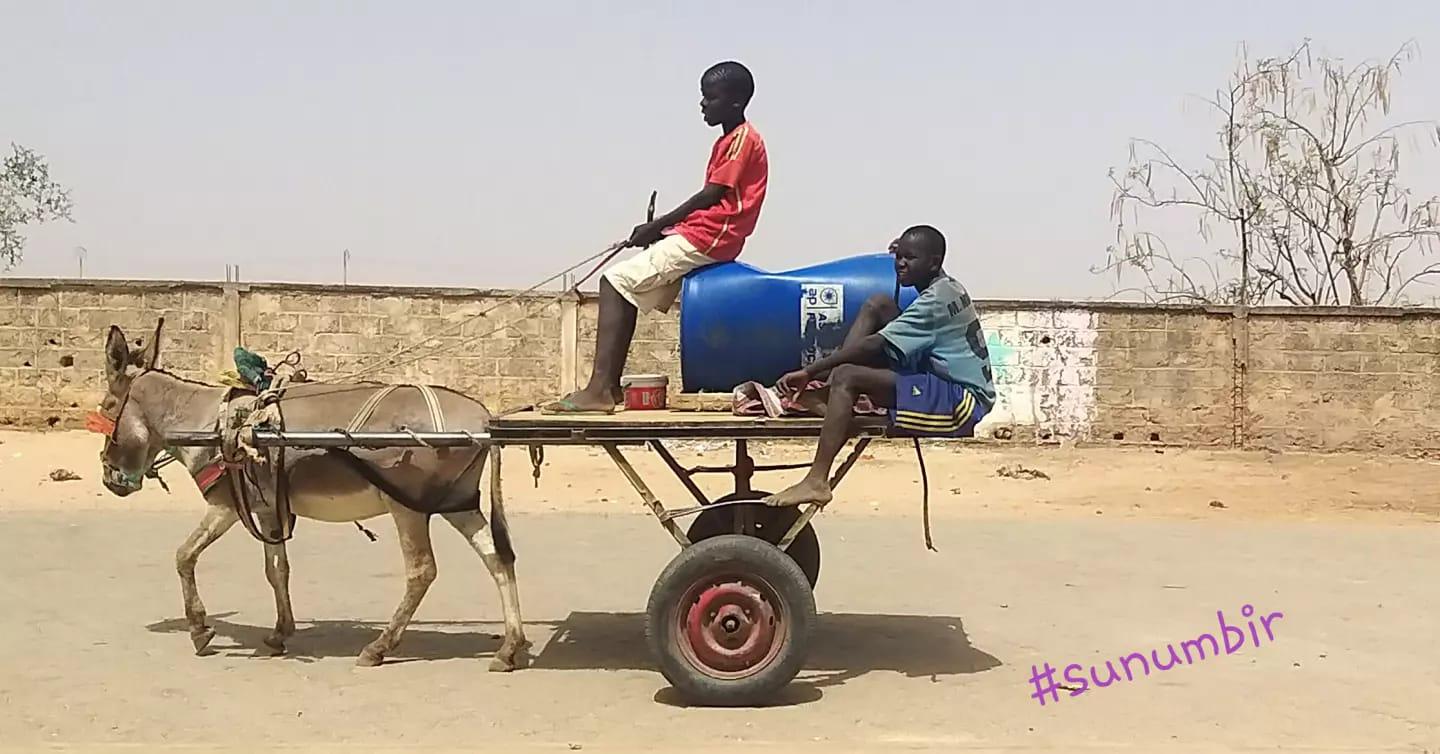 276995180 4872889672758234 2815557679071607118 n