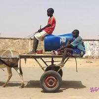 276995180 4872889672758234 2815557679071607118 n