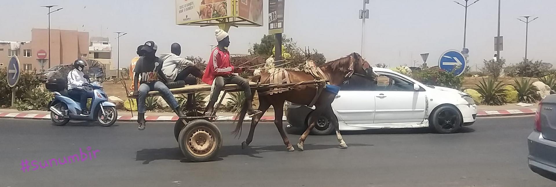 276996094 4871980816182453 9107622570061672386 n