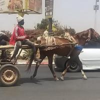 276996094 4871980816182453 9107622570061672386 n